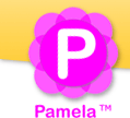 Pamela for Skype v.3.0.0.60 Pro Edition