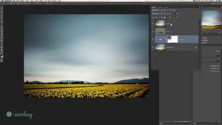 Light and Process - Lightroom and Photoshop with Nicola S Young
