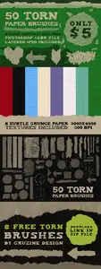 50 Torn Paper Brushes and 8 Textures