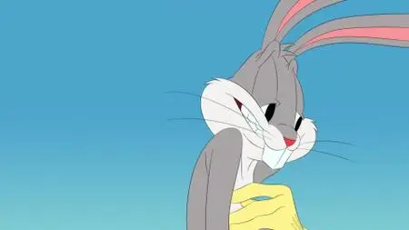 Looney Tunes Cartoons S01E45