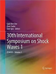 30th International Symposium on Shock Waves 1 : ISSW30 - Volume 1 (Repost)