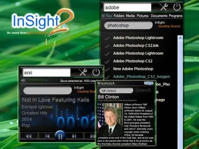 InSight Desktop Search 2.0.16.21