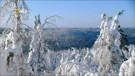 National Geographic - Destination Wild: Russie (2009) [Integral]