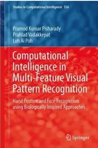 Computational Intelligence in Multi-Feature Visual Pattern Recognition