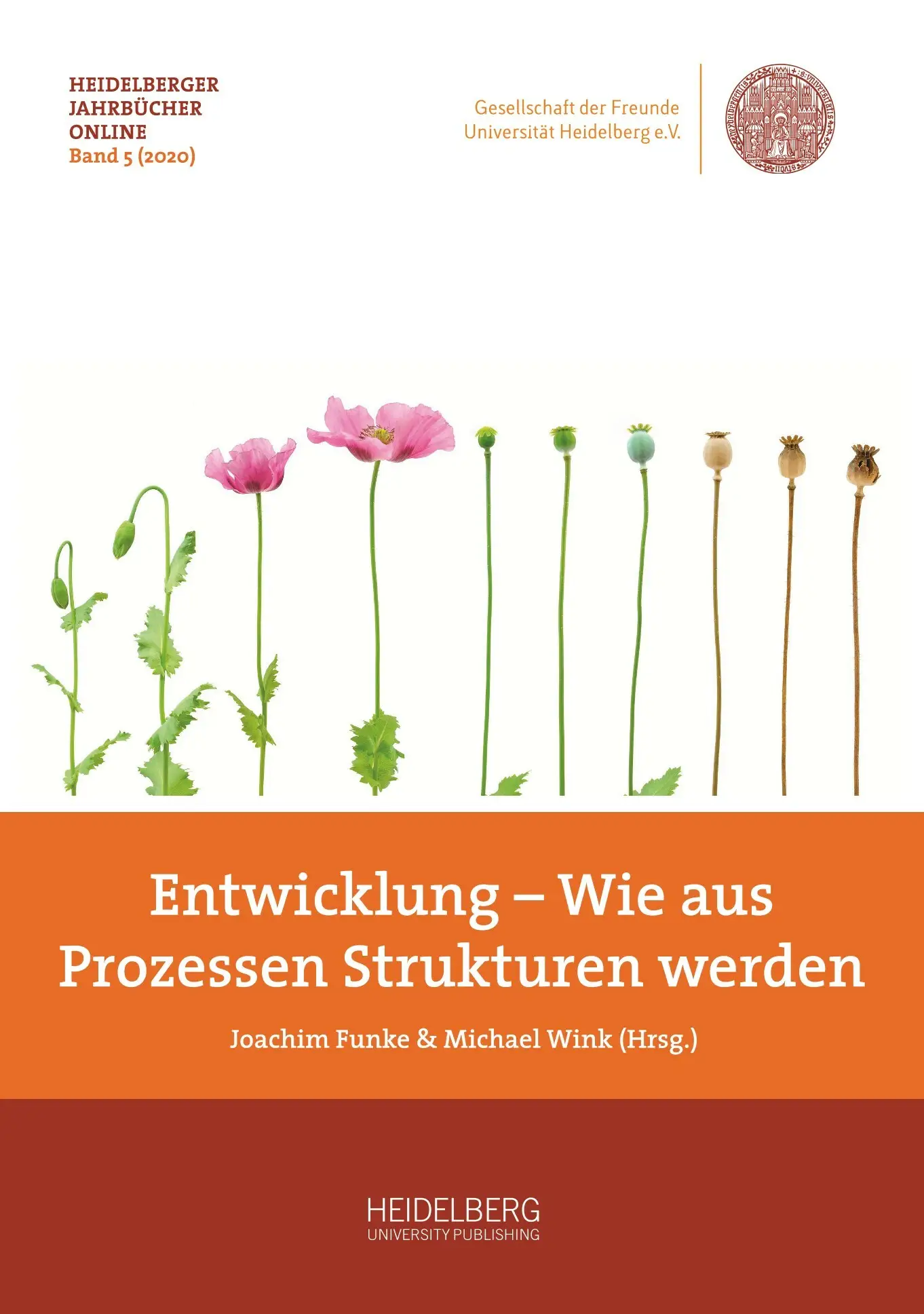 Michael Wink, Joachim Funke - Entwicklung – Wie aus Prozessen Strukturen werden