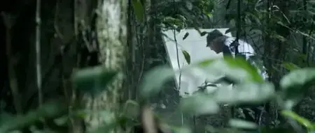 Il etait une Foret (2013)