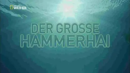 National Geographic - Hunting the Hammerhead (2015)