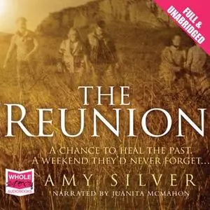 «The Reunion» by Amy Silver