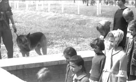 Andrzej Munk-Pasazerka ('The Passenger') (1961)