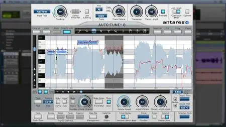 Learning Auto-Tune 8