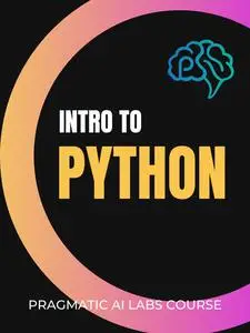 Pragmatic AI Solutions - Python for Beginners