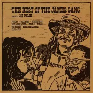 James Gang - The Best Of The James Gang (1973) [Analogue Productions 2019] PS3 ISO + DSD64 + Hi-Res FLAC