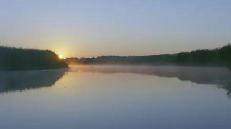 Agencja Orzel - Biebrza - The European Amazon (2016)