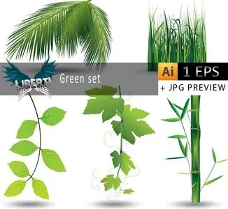 Green set