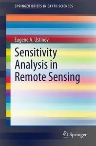 Sensitivity Analysis in Remote Sensing 