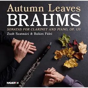 Zsolt Szatmári & Balázs Fülei - Brahms: Autumn Leaves (2023)