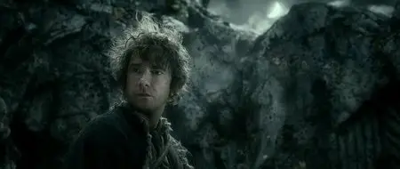 Lo Hobbit: La Desolazione di Smaug (2013) Extended Edition