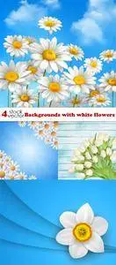 Vectors - Backgrounds with white flowers