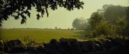 Civiltà perduta (2016)