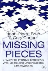 Missing Pieces: 7 Ways to Improve Employee Well-Being and Organizational Effectiveness (repost)
