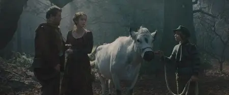 Into the Woods / Чем Дальше в лес (2014)