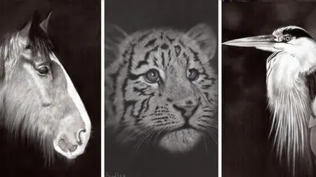 Draw Wild Animals In Black And White | 4 Pencils | Vol 2