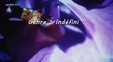 (Arte) Genre : indéfini ? (2013)
