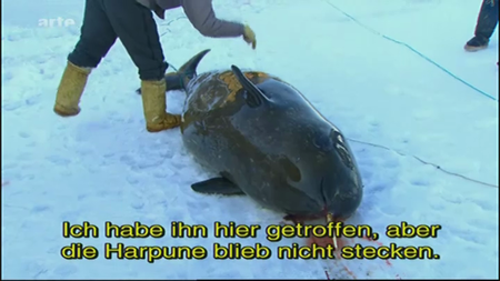 (Arte) Les derniers chasseurs du royaume des glaces | Die letzten Jäger des Eismeeres (2011)