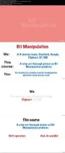 Byte-Sized-Chunks: Bit Manipulation Problems