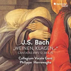 Collegium Vocale Gent & Philippe Herreweghe - J.S. Bach: Weinen, Klagen... (Remastered) (2003/2023) [Digital Download 24/48]