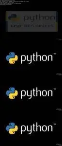 Learn Python from scratch