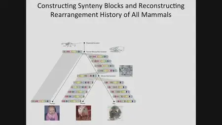Coursera - Bioinformatics Algorithms Part 1 (2013)