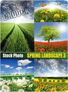Spring landscape 3 - Stock Photo