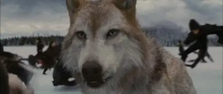 The Twilight Saga: Breaking Dawn - Parte 2 (2012)