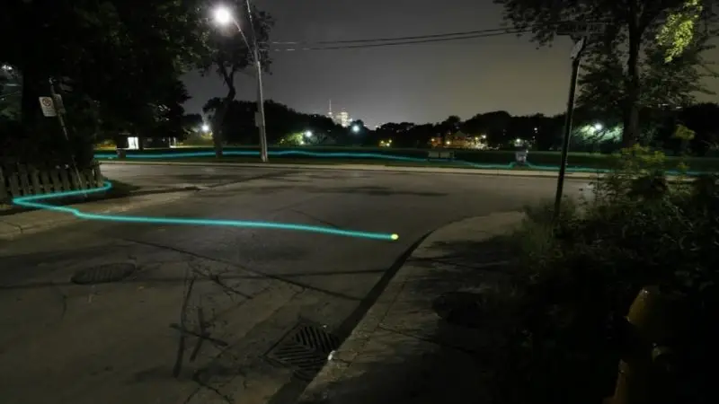 PBS Nature - Raccoon Nation (2012)