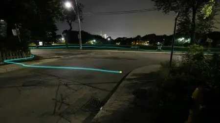 PBS Nature - Raccoon Nation (2012)