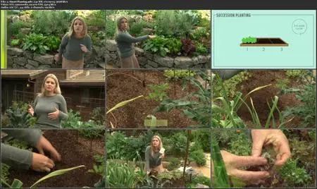 Grow Better Greens: From Seed to Salad