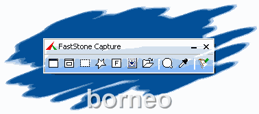 FastStone Capture 5.9