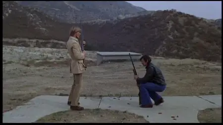 The Mechanic (1972)