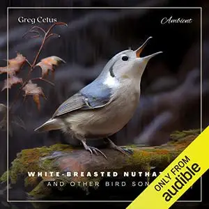 White-Breasted Nuthatch and Other Bird Songs: Ambient Audio for Holistic Living [Audiobook]