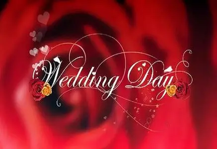 iStockVideo Wedding Day 9629440