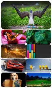 Beautiful Mixed Wallpapers Pack 411