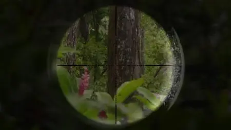 Death in Paradise S08E02