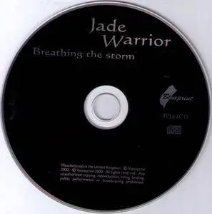 Jade Warrior - Breathing the Storm (1992)