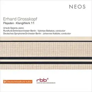 Rundfunk-Sinfonieorchester Berlin - Erhard Grosskopf: Plejaden, Op. 56 & KlangWerk 11, Op. 64 (Live) (2018)