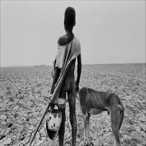 Il Sale Della Terra / The Salt of the Earth (2014)