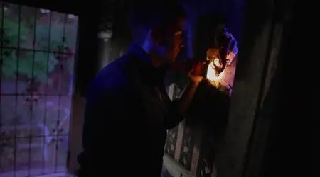 Hide and Go Seek (2018)