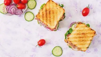 Quick and Yummy Sandwich Maker Toast Recipes