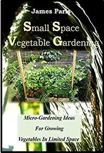 Small Space Vegetable Gardening