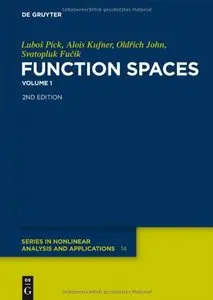 Function Spaces, Volume 1: Banach Function Spaces (Repost)